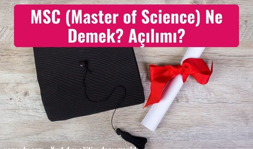 msc master of science nedir