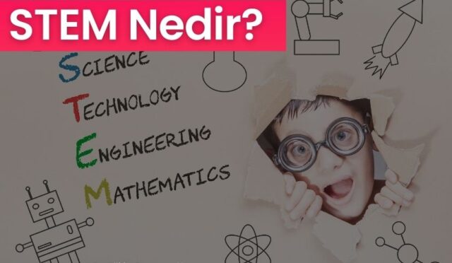 Stem nedir