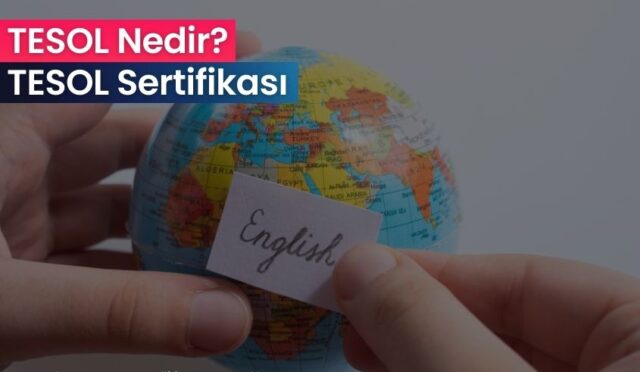tesol nedir