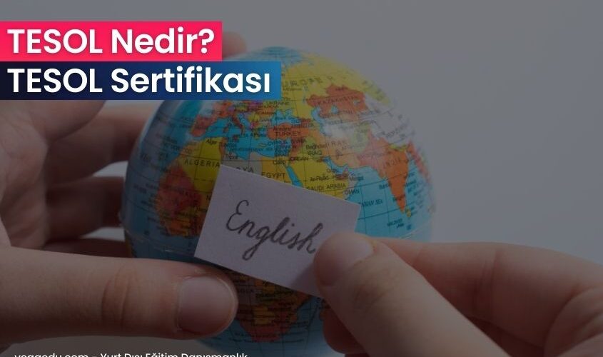 tesol nedir